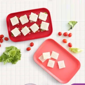 Large Picnic Plate (Set of 2)